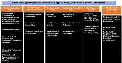 Co-occurrence of Lactobacillus Species During Fermentation of African Indigenous Foods: Impact on Food Safety and Shelf-Life Extension